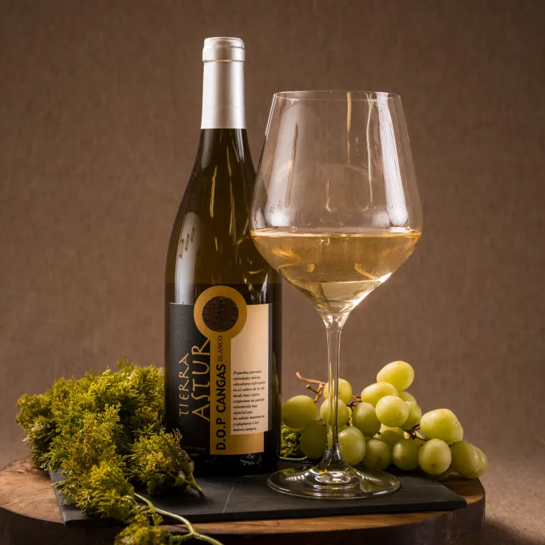Vinos de Asturias: tradición y modernidad en cada copa